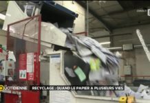 Recyclage : quand le papier a plusieurs vies Recyclage-quand-le-papier-a-plusieurs-vies