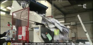 Recyclage : quand le papier a plusieurs vies Recyclage-quand-le-papier-a-plusieurs-vies