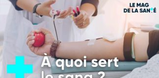 Tout savoir sur le sang Tout-savoir-sur-le-sang-en-381-secondes-