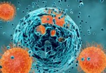 Virus : pourquoi mutent-ils ? Variants-mais-pourquoi-les-virus-mutent-ils-