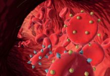 Groupes sanguins : ce qu’ils nous révèlent Ce-que-revelent-nos-groupes-sanguins