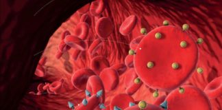 Groupes sanguins : ce qu’ils nous révèlent Ce-que-revelent-nos-groupes-sanguins