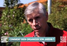 Jardin : comment bien l’organiser ? Consomag-Comment-bien-organiser-son-jardin