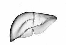 Laissons agir le corps pour se detoxifier Detox-laissons-faire-le-corps-