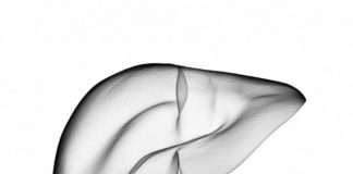 Laissons agir le corps pour se detoxifier Detox-laissons-faire-le-corps-