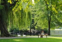 Quel est l’impact des parcs ou des jardins sur le prix de votre appartement ? Immobilier -Parcs-ou-jardins-font-ils-grimper-le-prix-de-votre-appartement-