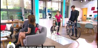 Je fais du sport avec mon chien Je-fais-du-sport-avec-mon-chien