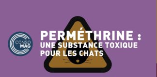 Chats: attention à la perméthrine, substance toxique La-permethrine-substance-toxique-pour-les-chats-CONSOMAG