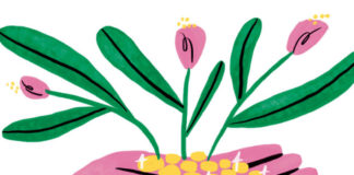 La finance responsable, tendance en plein boom Le-boom-de-la-finance-responsable