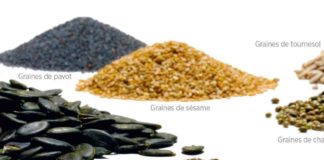 Les graines ne manquent pas de croquant Les-graines-ne-manquent-pas-de-croquant