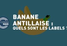 Les labels de banane antillaise Les-labels-de-banane-antillaise-