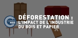 Quel est l’impact de l’industrie du bois et du papier sur la déforestation ? Lindustrie-du-bois-et-du-papier-quels-impacts-sur-la-deforestation-importee-CON