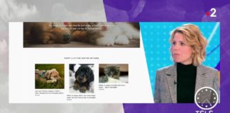 La location d’animal à la journée Louer-un-animal-a-la-journee