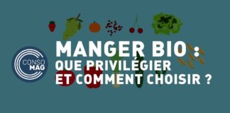 Comment faut-il choisir les produits pour manger bio ? Manger-bio-quel-produits-faut-il-privilegier-et-comment-choisir-
