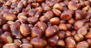 Châtaigne : découvrez-en les bienfaits Nutrition -Cholesterol-vitamines -Tous-les-bienfaits-de-la-chataigne