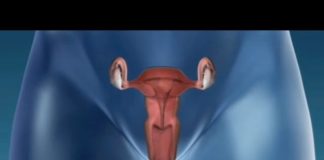 Faut-il s’inquiéter des pertes vaginales ou pertes blanches ? Pertes-vaginales-pertes-blanches-faut-il-sinquieter-