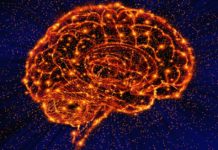 Effet placebo : que se passe-t-il dans le cerveau ? Que-se-passe-t-il-dans-le-cerveau-pendant-un-effet-placebo