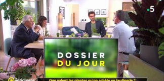 Jardinerie : que valent les plantes ? Que-valent-les-plantes-quon-achete-en-jardinerie-