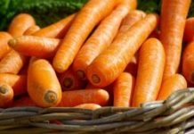 L’alliée de votre vue : la carotte Sante -La-carotte-l039alliee-insoupconnee-de-votre-vue-