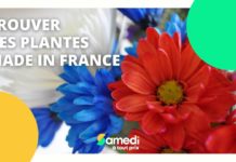 Trouver des plantes made in France Trouver-des-plantes-made-in-France-Samedi-a-tout-prix