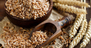 Deux recettes avec l’épeautre : en risotto ou aux petits légumes Un-produit-deux-recettes -Epeautre-en-risotto-ou-aux-petits-legumes-des-idees-pour-cuisiner-le-quotble-des-Gauloisquot