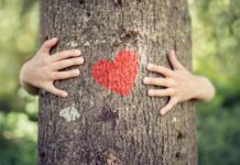 Verts ou vert foncé, vos fonds d’investissement ? Vos-fonds-d039investissement-vous-les-voulez-verts-ou-vert-fonce-