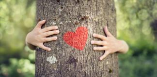 Verts ou vert foncé, vos fonds d’investissement ? Vos-fonds-d039investissement-vous-les-voulez-verts-ou-vert-fonce-