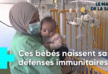 Bébé-bulles : 50 ans de progrès médical Bebe-bulles-50-ans-de-progres-medical-Le