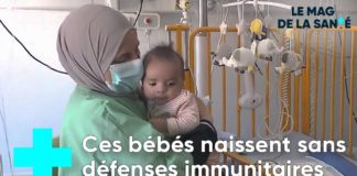 Bébé-bulles : 50 ans de progrès médical Bebe-bulles-50-ans-de-progres-medical-Le