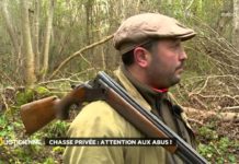Chasse privée : attention aux abus ! Chasse-privee-attention-aux-abus-