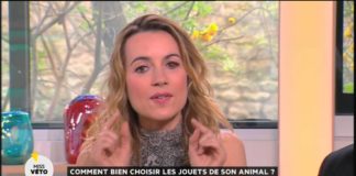 Jouets de son animal : comment bien les choisir ? Comment-bien-choisir-les-jouets-de-son-animal-