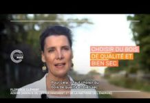 Chauffage au bois : comment bien l’utiliser ? Comment-bien-utiliser-son-chauffage-au-bois-