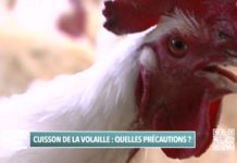 Quelles précautions pour la cuisson de la volaille ? Consomag-cuisson-de-la-volaille-qelles-precautions-