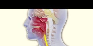 Comment se débarrasser des glaires dans la gorge ? Glaires-dans-la-gorge-comment-sen-debarrasser-