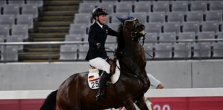 Des accessoires de sport, les chevaux ? Les-chevaux-sont-ils-des-accessoires-de-sport-