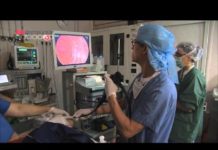 La fibroscopie, indispensable au diagnostic des maux d’estomac Maux-destomac-la-fibroscopie-indispensable-au-diagnostic-Allo-Docteurs