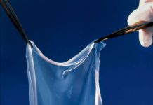 Médecine régénérative : des promesses et des obstacles Medecine-regenerative-promesses-tenues