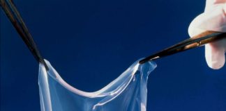 Médecine régénérative : des promesses et des obstacles Medecine-regenerative-promesses-tenues