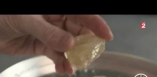 La résine des pins et ses vertus Sciences-Les-vertus-de-la-resine-des-pins