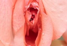 Combien d’orgasme par mois devrait avoir une femme pour être heureuse ? Voici-combien-de-fois-une-femme-devrait-jouir-par-mois-pour-etre-heureuse-selon-la-Science