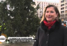 Un rêve trop coûteux, les décorations de Noël ? Decoration-de-Noel-le-reve-est-il-trop-couteux-