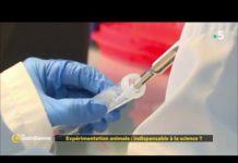 Indispensable à la science, l’expérimentation animale ? Experimentation-animale-indispensable-a-la-science-