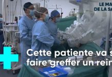 Une chirurgie qui change la vie : la greffe de rein Greffe-de-rein-une-chirurgie-qui-change-la-vie-