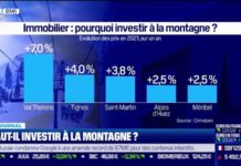 Est-ce risqué d’investir dans l’immobilier à la montagne? Immobilier-est-ce-trop-risque-d039investir-a-la-montagne