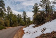 Les étés trop chauds moins dangereux que les hivers trop doux Les-hivers-plus-doux-pourraient-causer-autant-de-ravages-que-les-etes-trop-chauds