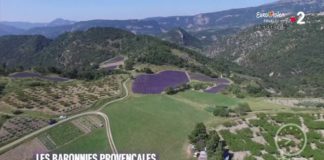 A la découverte des baronnies provençales Made-in-France-Les-baronnies-provencales