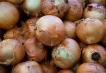 L’oignon est un compagnon santé idéal, mais pourquoi ? Nutrition -Pourquoi-l039oignon-est-un-compagnon-ideal-pour-votre-sante