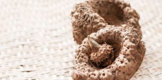 Le légume-racine venu du Japon, allié dans la lutte contre la prise de poids Perdre-du-poids-quel-est-ce-legume-racine-tout-droit-venu-du-Japon-qui-permet-de-rassasier-et-de-couper-la-faim-instantanement-