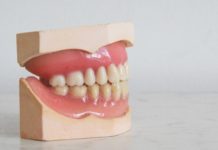 Pourquoi avons-nous des petites canines ? Pourquoi-les-hommes-ont-ils-de-si-petites-canines