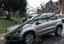 Assurance : que se passe-t-il si une branche ou un arbre tombe sur votre voiture ? Pratique -Une-branche-ou-un-arbre-tombe-sur-votre-voiture-l039assurance-couvre-t-elle-les-degats-